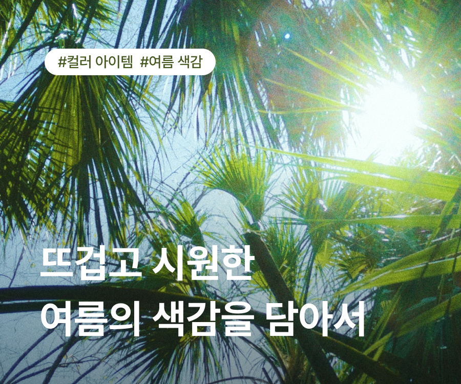 250730_여름컬러