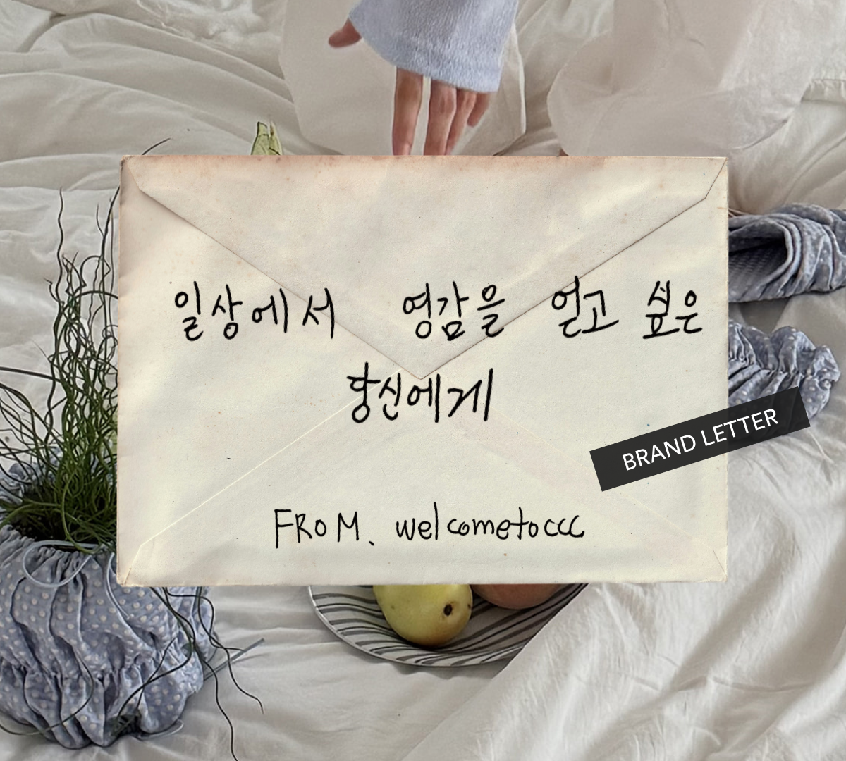 브랜드레터_wccc